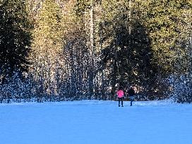 ​Winter Walk Around The Bavarian Lake Schwansee