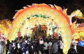 Tourists view lanterns at the Confucius Temple in Nanjing