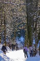 Bavarian Lake Alpsee Circular Trail In Winter