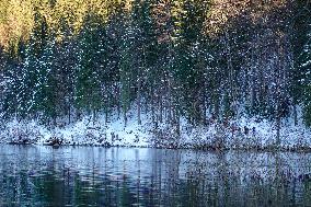 Bavarian Lake Alpsee Circular Trail In Winter