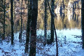 Bavarian Lake Alpsee Circular Trail In Winter