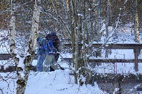 Bavarian Lake Alpsee Circular Trail In Winter