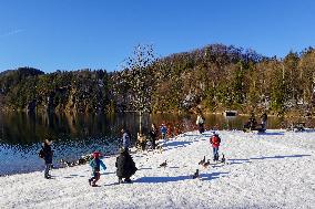 Bavarian Lake Alpsee Circular Trail In Winter