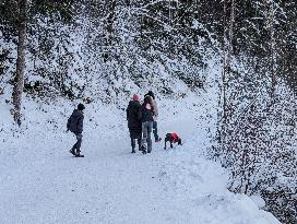 Bavarian Lake Alpsee Circular Trail In Winter