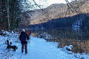 Bavarian Lake Alpsee Circular Trail In Winter