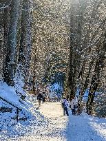 Bavarian Lake Alpsee Circular Trail In Winter