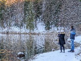 Bavarian Lake Alpsee Circular Trail In Winter