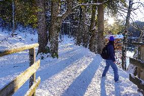 Bavarian Lake Alpsee Circular Trail In Winter