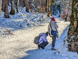 Bavarian Lake Alpsee Circular Trail In Winter