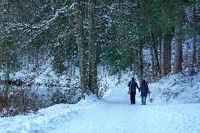 Bavarian Lake Alpsee Circular Trail In Winter