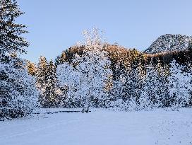 Winter Landscape Around The Bavarian Lake Schwansee