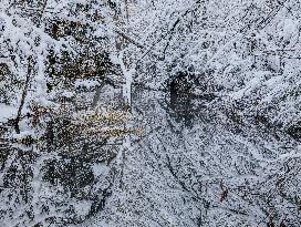 Winter Landscape Around The Bavarian Lake Schwansee