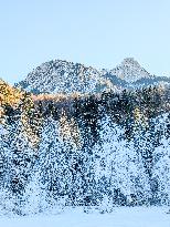 Winter Landscape Around The Bavarian Lake Schwansee