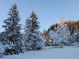 Winter Landscape Around The Bavarian Lake Schwansee