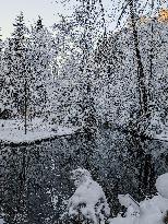 Winter Landscape Around The Bavarian Lake Schwansee