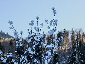 Winter Landscape Around The Bavarian Lake Schwansee