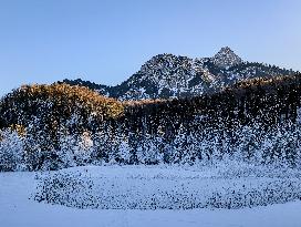 Winter Landscape Around The Bavarian Lake Schwansee