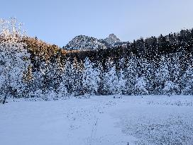 Winter Landscape Around The Bavarian Lake Schwansee