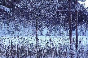 Winter Landscape Around The Bavarian Lake Schwansee