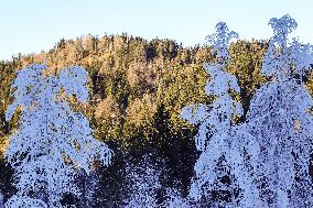 Winter Landscape Around The Bavarian Lake Schwansee