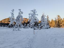 Winter Landscape Around The Bavarian Lake Schwansee