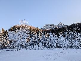 Winter Landscape Around The Bavarian Lake Schwansee