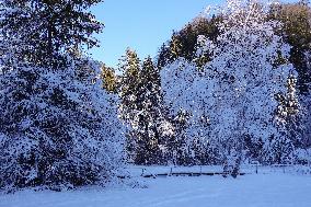 Winter Landscape Around The Bavarian Lake Schwansee