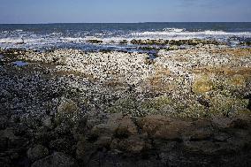 1st anniv. of Noto Peninsula quake