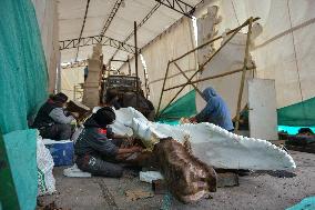 Preparation of the "Tradition" float by master craftsman Michael Paz