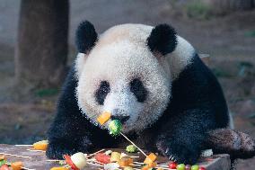 Giant Panda Celebrate New Year in Chongqing Zoo