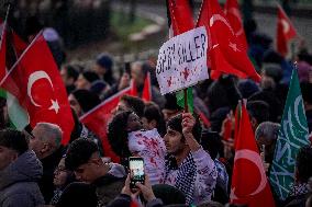 Palestinian Solidarity Protest - Istanbul