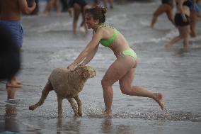 New Year's Day Polar Plunge Tradition Lives On In Coney Island