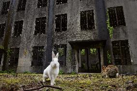 Wartime poison gas factory in Japan