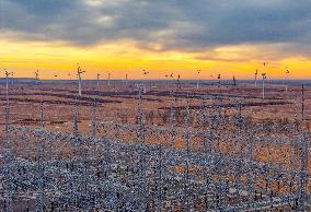 Wind Farm