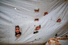 Difficult Living Conditions in Idlib IDP Camps - Syria