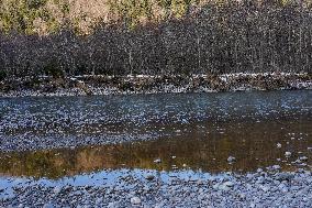 Wintertime At The River Lech Near Fuessen