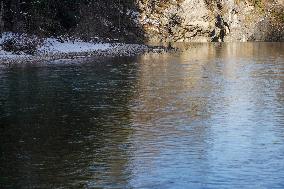 Wintertime At The River Lech Near Fuessen