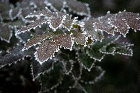 A Frosty Morning In Sofia.