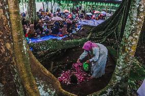 Ngijo Sadranan Tradition In Semarang