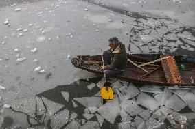 Fresh Spell Of Snowfall In Srinagar