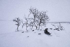 Winter in Finnish Lapland