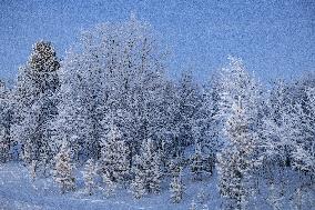 Polar night in Finnish Lapland