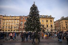 Daily Life In Krakow, Poland