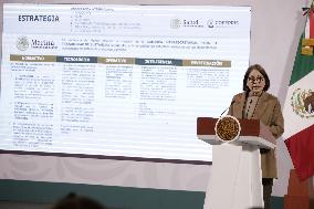 Mexican President Claudia Sheinbaum  News Conference