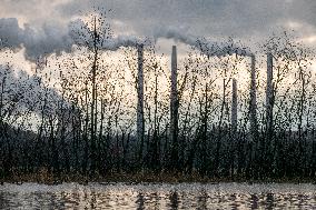 Canada Geese And Pollution From The Miami Fort Power Plant