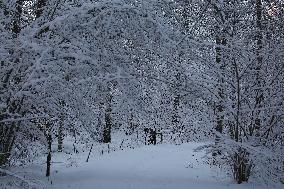 Snowfall In Linkoping