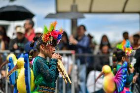 Carnaval de Negros y Blancos - Black and Whites Carnival