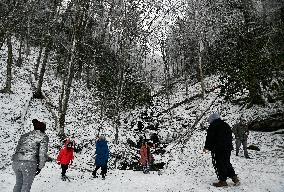 Snow In Winter In Tennessee