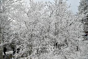 Snow In Winter In Tennessee