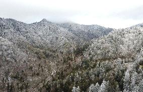 Snow In Winter In Tennessee